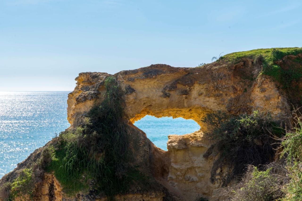 Casa Das Conchas Armação de Pêra Esterno foto